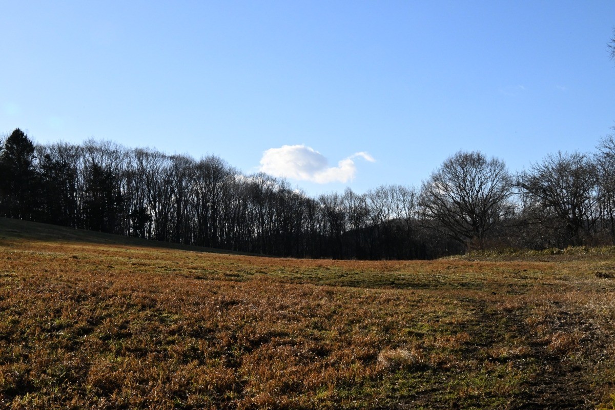 169af60c22573e1ffe5e2f8d9c10fdc6-1765807289.jpg 169af60c22573e1ffe5e2f8d9c10fdc6-1765807289.jpg